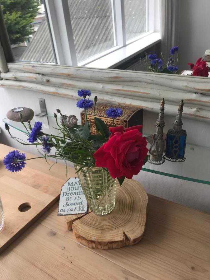B&B Bij De Zee Centre Of Julianadorp 10 Min From Beaches المظهر الخارجي الصورة
