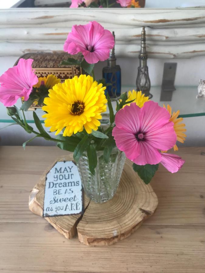 B&B Bij De Zee Centre Of Julianadorp 10 Min From Beaches المظهر الخارجي الصورة