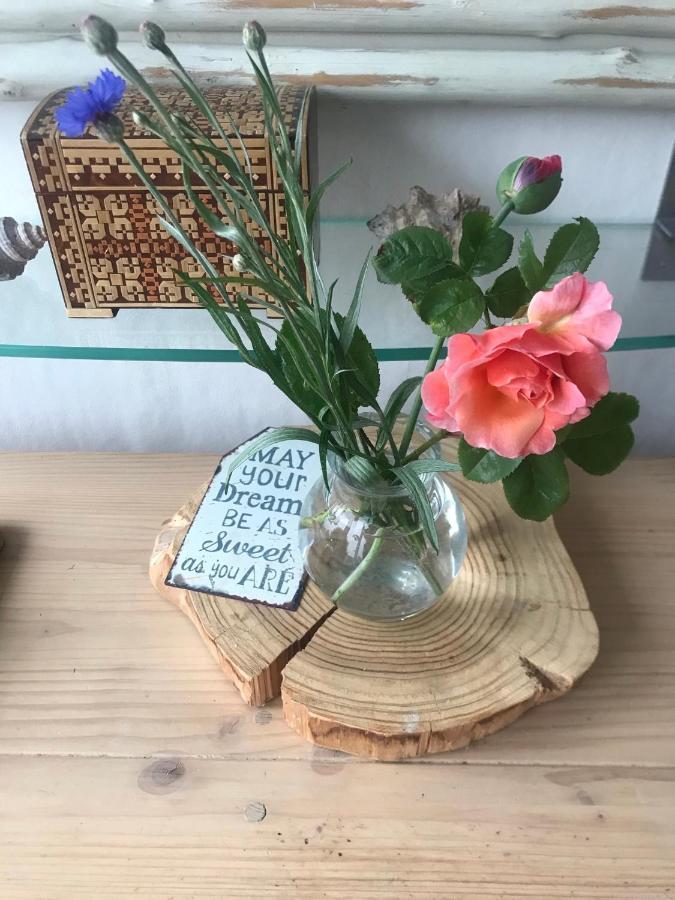 B&B Bij De Zee Centre Of Julianadorp 10 Min From Beaches المظهر الخارجي الصورة