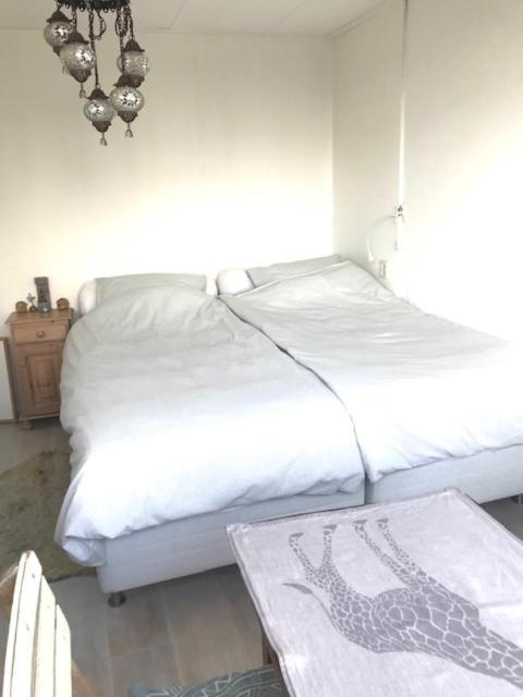 B&B Bij De Zee Centre Of Julianadorp 10 Min From Beaches المظهر الخارجي الصورة